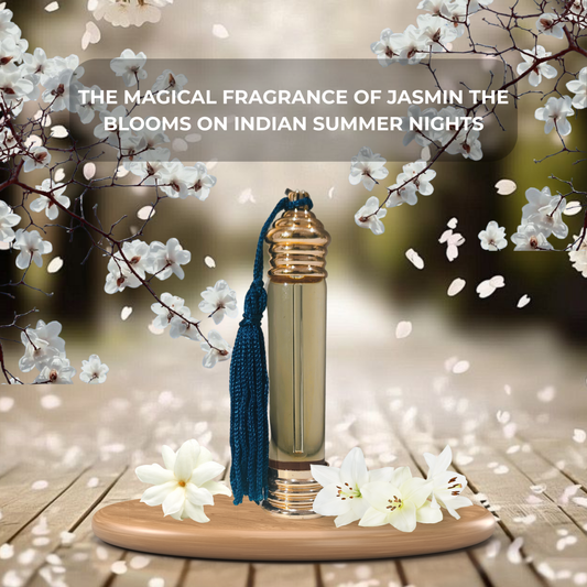 JASMIN ATTAR